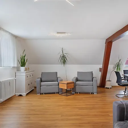 Apartament Alte Muenz *