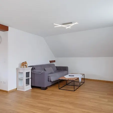 Apartament Alte Muenz *