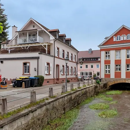 Alte Muenz Apartament Mullheim (Baden-Wurttemberg)